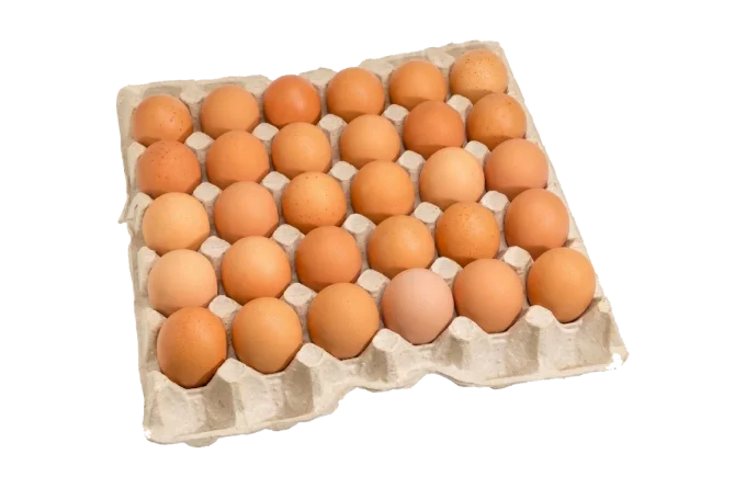 30-count egg tray